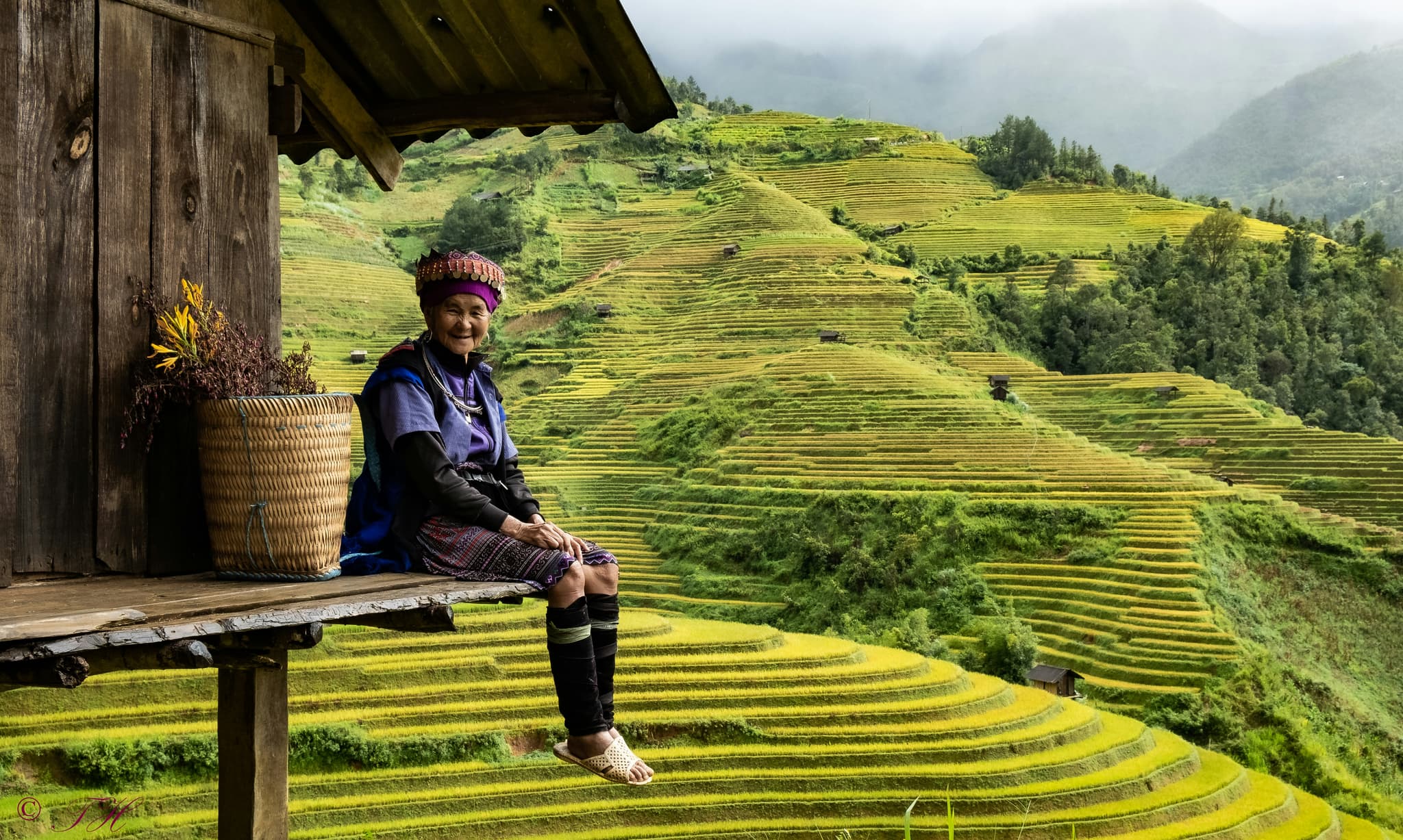 Vietnam Rice Terraces